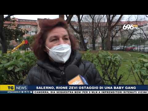 Tg news 14 febbraio 2022-ore 14