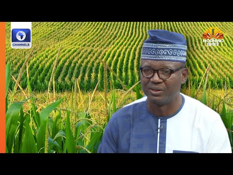 Expert Highlights Adverse Effects Of GMO Foods To Human