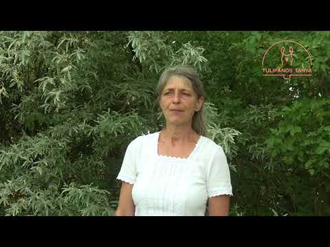 Tanya ELADÓ - tanyavásárlási segédlet 4. rész