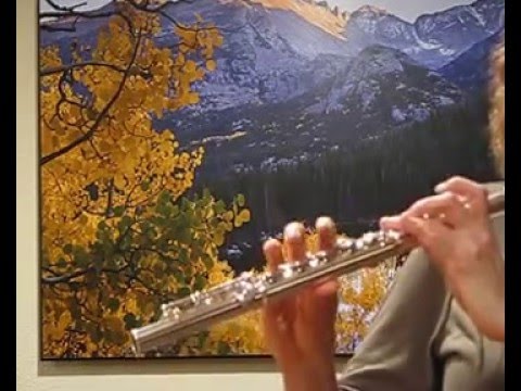 Yamaha 881 Flute (used) w/ Straubinger Head (High Register)