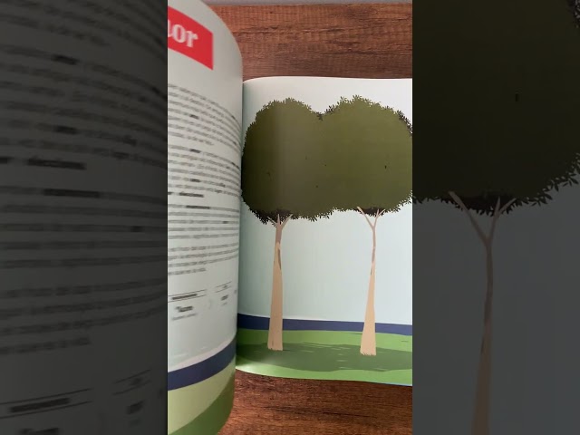 Vídeo relacionado con El viaje de las palabras (INFANTIL)