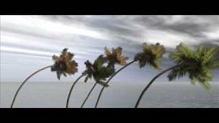 Neil Young Like A Hurricane