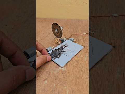 New Cockroach trap with blade arm #engineering #trap #bug trap #funny #cockroach