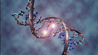 Genetics, epigenetics and disease