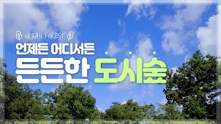 [#도시숲캠페인] 언제든 어디서든 든든한 우리 동네 '도시숲' 