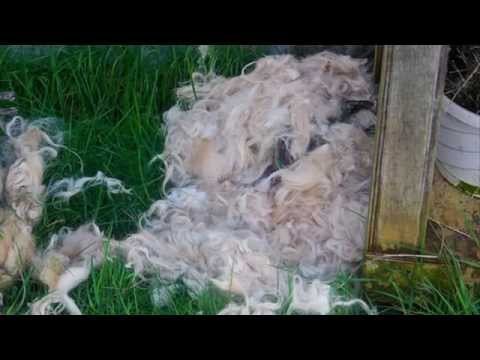 Listen to: Read the Bible in a Year, Day 236 (Ezekial 5 - 8)