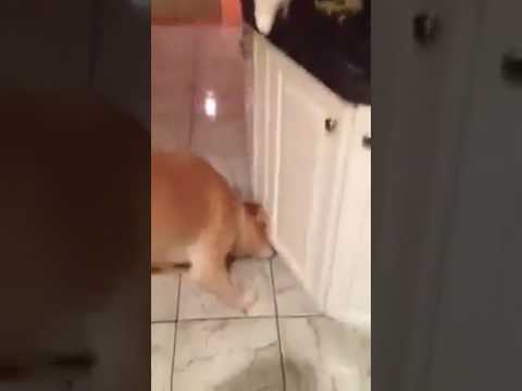 This is real love...