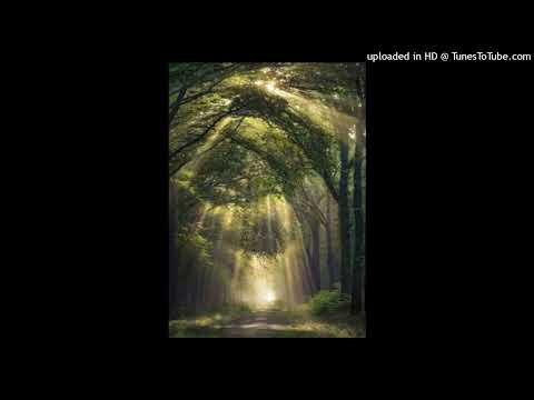 {432Hz} Hard Rock Trap Type Beat - Tree light (Prod.KingsBeats)