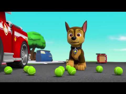 "It's all your fault" Compilations updated