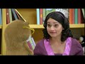 PBS Kids Program Break June 28th 2011 NJN