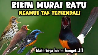 Download lagu Mantap poool !! MASTERAN MURAI BATU ISIAN KEKINIAN SUPER MEWAH‼️ mp3 Download lagu Mantap poool !! MASTERAN MURAI BATU ISIAN KEKINIAN SUPER MEWAH‼️ mp3