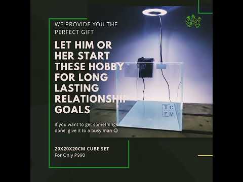 20x20x20 cm Nano Tank Aquascape Tutorial (Simple and Easy)