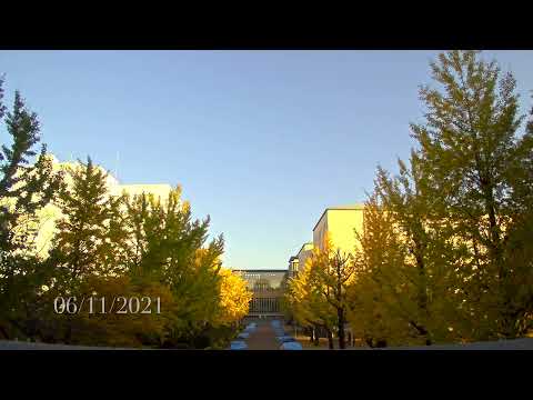フランス語学科 Fête de l'université 2021年度雄飛祭