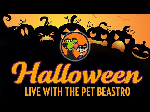 Halloween Toys and so much more!