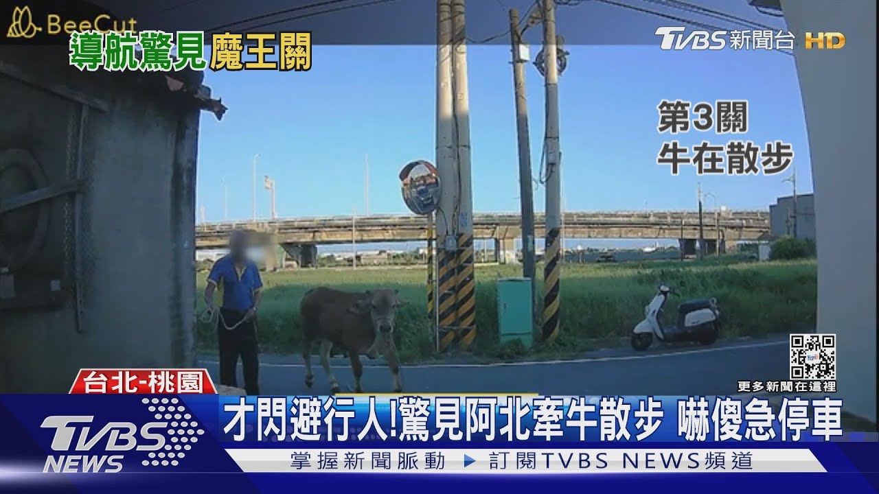 導航調皮了!遭帶闖「道路挑戰」 駕駛心驚驚