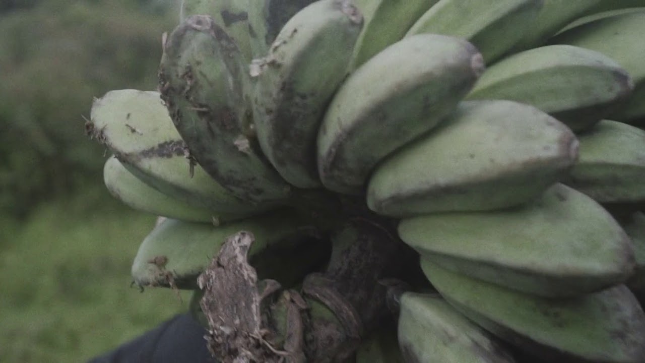 Shade - Equipt & Co. - Touch of Modern