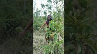 Download lagu pendekar jahil amat🤣 #shorts #lucu #comedy mp3 Download lagu pendekar jahil amat🤣 #shorts #lucu #comedy mp3