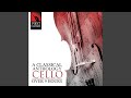 Cello Concerto No. 9 in B-Flat Major, G. 482: I. Allegro Moderato