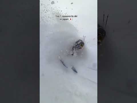 the main reason to ski in japan is amazing bottemless powder snow #ski #shorts #japow #hakuba