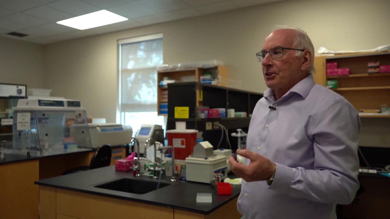 The Centre for Biodiversity Genomics: a look inside the world's leading DNA barcoding facility