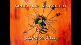 A Little More Cocaine Please - Split Lip Rayfield