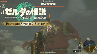 ヤバいいきなりヒノックス出てしまった『ゼルダの伝説ティアーズオブキングダム』The Legends Of ZELDA Tears Of Kingdom