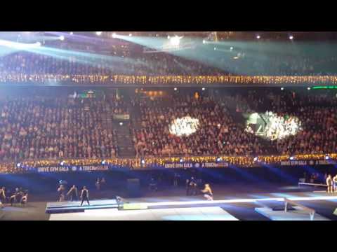 Team nl op t unive gymgala 2016 'a touch of gold'