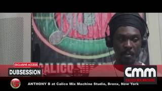 ANTHONY B - RAID THE BARN ~ D-log (Dub Log) 22