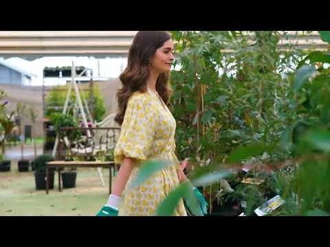Greengecko Garden Centre