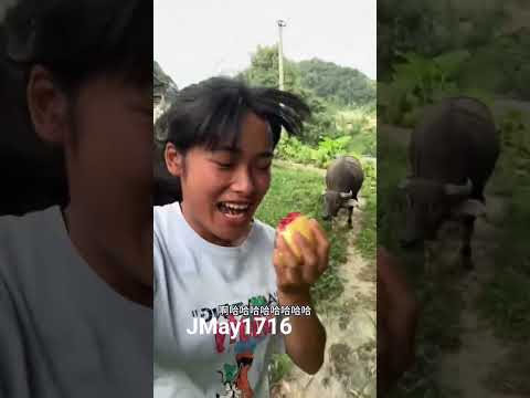 和我的宠物在一起，我感受到了真正的快乐。