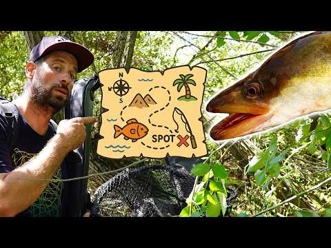 Dicht am Fisch and Dickes Petri