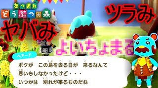 【あつまれどうぶつの森】ついに、ベアードが旅立つそうです。我関せず。魚図鑑進めていぐぅ編（あつ森）
