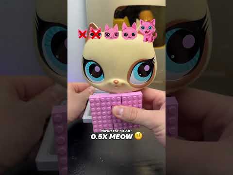 Will I find the cat that fits? 🤔