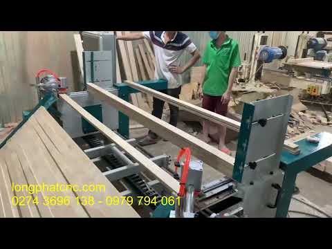 Máy khoan hai đầu tự động - MZ-2250