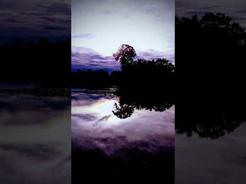 Bom dia Amazonas. Viagens pela Amazônia #caminhoparaumavidamelhor. Santo Antônio do Iça