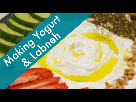How to Make Yogurt and Labneh at Home