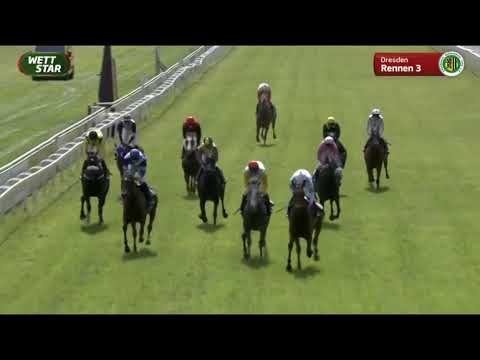 Galopprennbahn Dresden   10 07 2021   3. Rennen