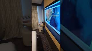 Stateroom Tour of a Studio Cabin on Anthem of the Seas