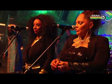 ALPHA BLONDY & The Solar System live @ Main Stage 2014