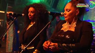 ALPHA BLONDY &amp; The Solar System live @ Main Stage 2014