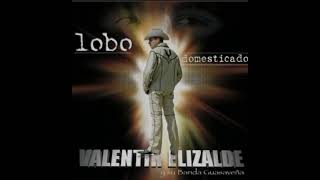 Valentín Elizalde MIX en vivo : clave privada, pedido original, porque te vas de mi