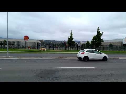 Geografia Humana, Comercial y Física de Quilpue y Belloto, Región de Valparaiso, Chile Templado 2026