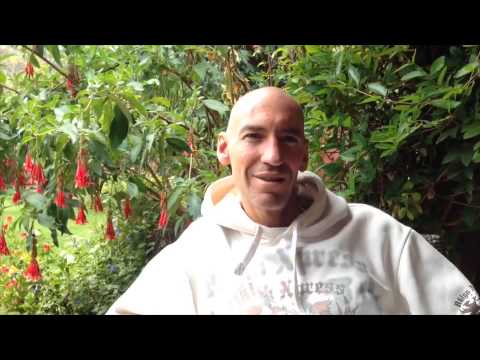 Ayahuasca Interview - Diego Palma