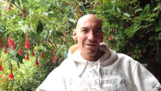 Ayahuasca Interview - Diego Palma