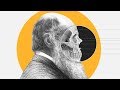 Theory of Evolution: How did Darwin come up with it? - BBCURDU