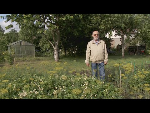 Ogród na miarę - 2022.07.09