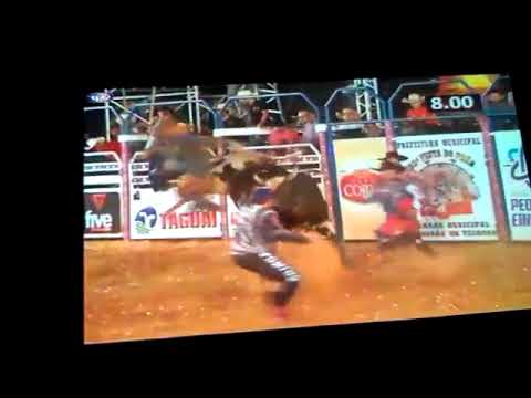 cosme antonio filho vs cassununga cia Paulo Emilio