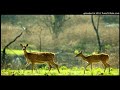 Kasthuri Mane Kalbasha Thene