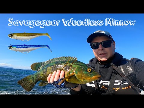 Savagegear Weedless Minnow - Pollock & wrasse