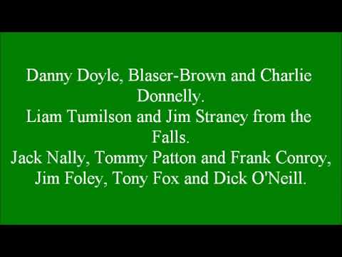 Christy Moore   Viva La Quinta Brigada     with lyrics
